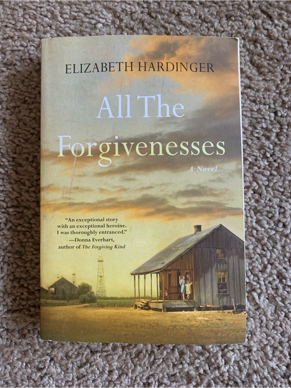 'All The Forgivenesses' Hardcover Book - Cream/Tan Cover